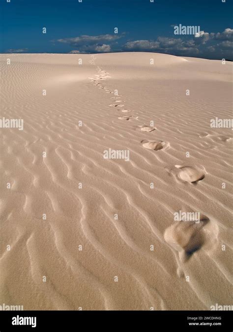 Landscape of sand dune with footprints and lines in the Lençóis