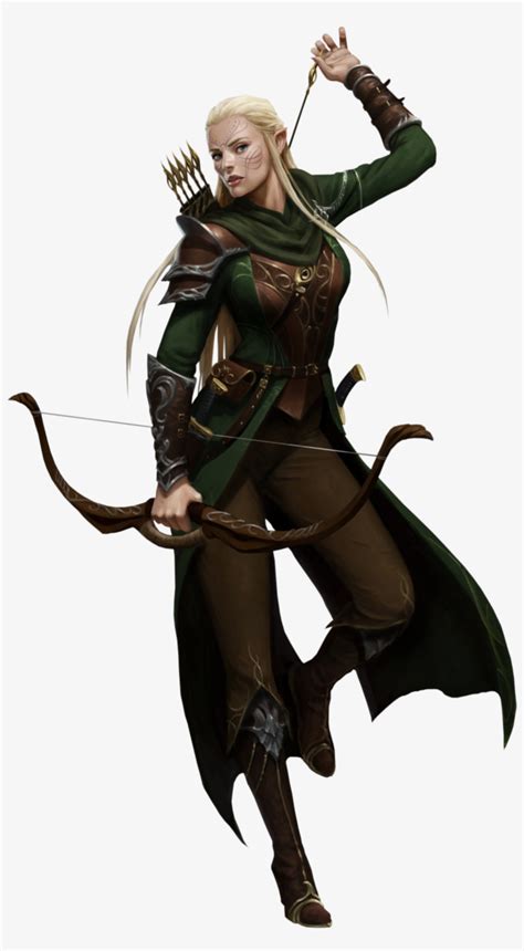 Male Half Elf Ranger