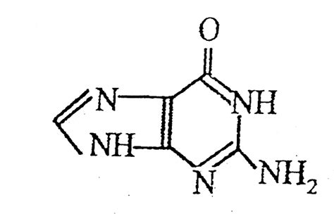 [Gujrati] Identify structure of Adenine