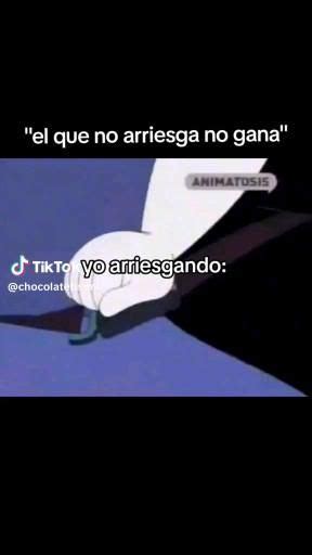 Yo esa Video Humor de la vida Verdades Imágenes divertidas