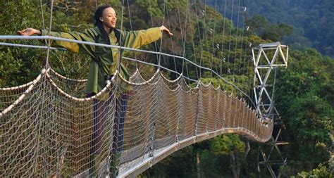 Vida Silvestre En El Parque Nacional Del Bosque Nyungwe