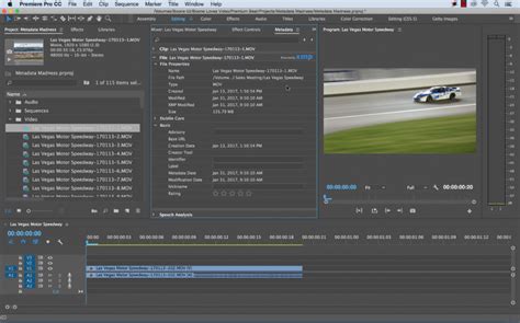 Harnessing The Power Of Metadata In Premiere Pro