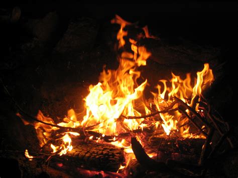 Free Campfire Stock Photo