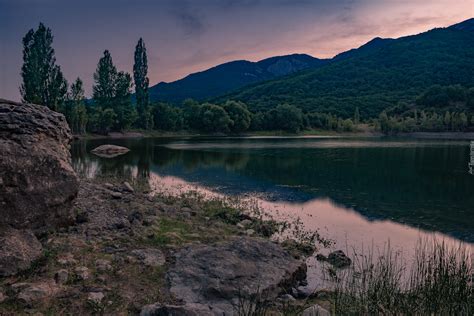 Brzeg Jeziora Z Widokiem Na Drzewa I Wzg Rze