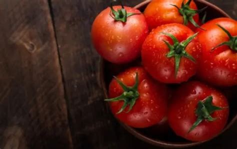 What To Do With Overripe Tomatoes Innovative Ideas Americas Restaurant