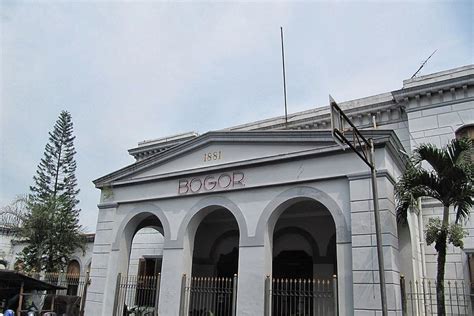 Berita Stasiun Bogor Terbaru Hari Ini - Bobo