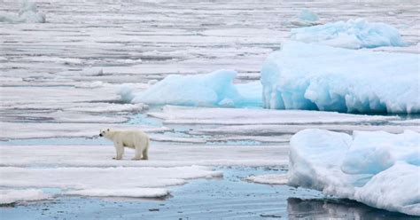 Efeito estufa causas consequências e relação aquecimento global