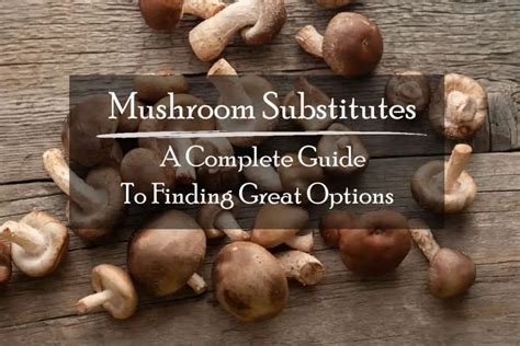 Mushroom Substitutes A Complete Guide To Finding Great Options