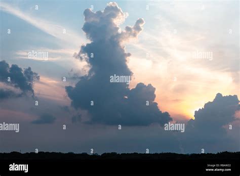 Cloud shapes animal hi-res stock photography and images - Alamy