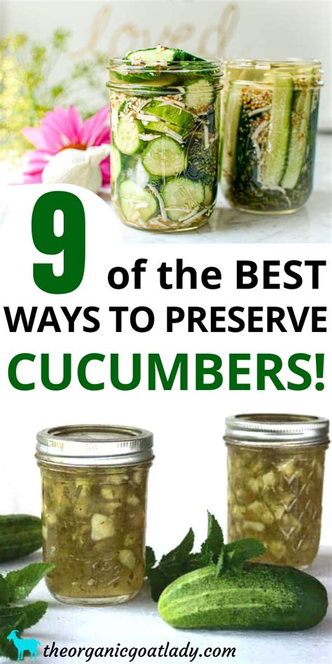 9 Ways To Preserve Cucumbers Artofit