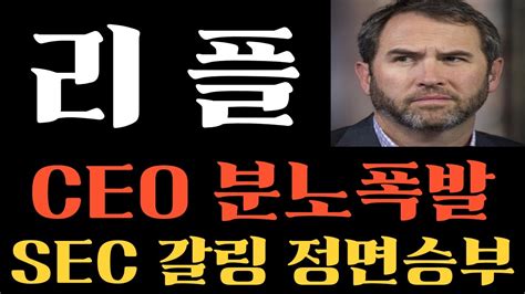 리플 코인 긴급 리플ceo 분노폭발한 상황 Sec Vs 갈링하우스 정면승부 리플목표가 리플호재 리플전망 리플코인