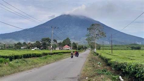 Kerinci Terancam Krisis Pangan Akibat Alih Fungsi Lahan Kenali Co Id