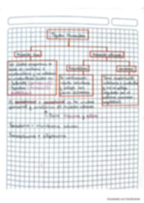 Solution Tejido Muscular Studypool