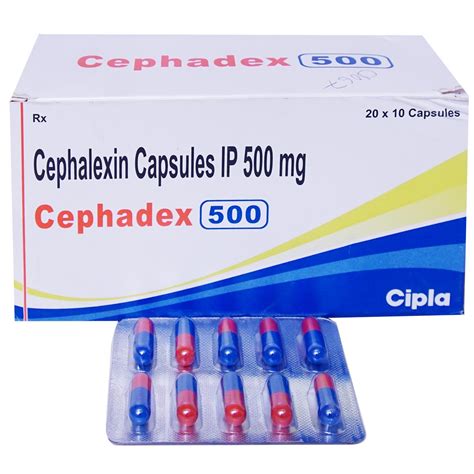 CEPHALEXIN Uses Side Effects And Medicines Apollo Pharmacy