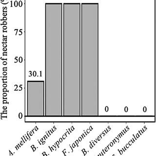 The nectar robbing behavior in various insects on S. officinale ...