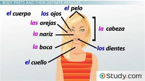 31 Label The Body Parts In Spanish - Labels Design Ideas 2020