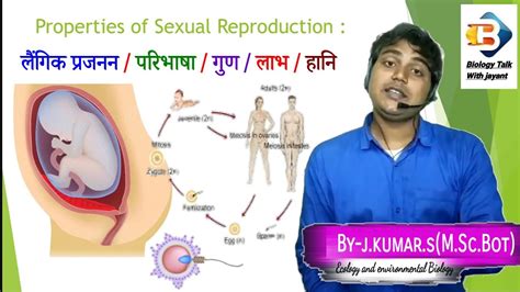 Sexual Reproduction Definition Properties Advantage And