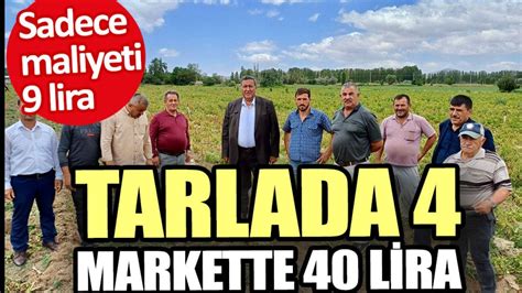 Maliyeti 9 Tarlada 4 Markette 40 Lira