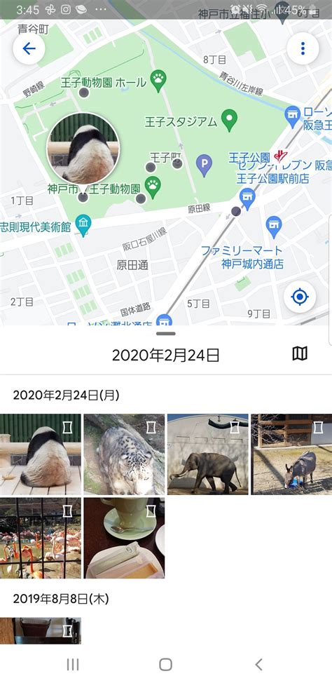 てっしー🧡難波鉄馬隊其之参🏍️ On Twitter Mahokafancy せっかく神戸来ても日帰りだもんね🥺💦動物園と近くの