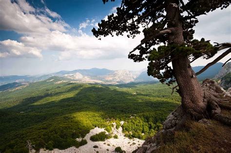 Il Parco Nazionale del Pollino larea protetta più estesa dItalia