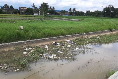 Foto Petani Buat Sayembara Untuk Tangkap Pembuang Sampah Di Selokan