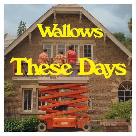 Wallows - These Days (Single) : r/freshalbumart