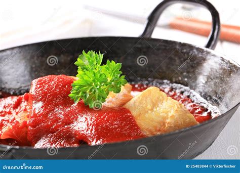 Pan Fried Fish Fillets with Tomato Sauce Stock Photo - Image of healthy, appetizer: 25483844