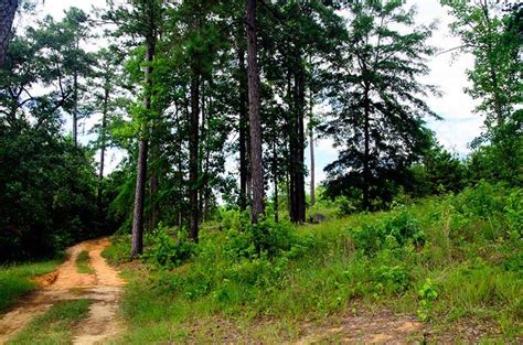 Blue Springs State Park - Alabama Birding Trails