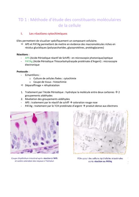 TD 1 TD Biologie cellulaire S2 TD 1 Méthode détude des