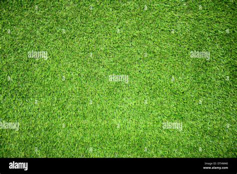 Cricket field grass hi-res stock photography and images - Alamy