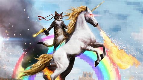 Unicorn 1080p 2k 4k 5k Hd Wallpapers Free Download Wallpaper Flare