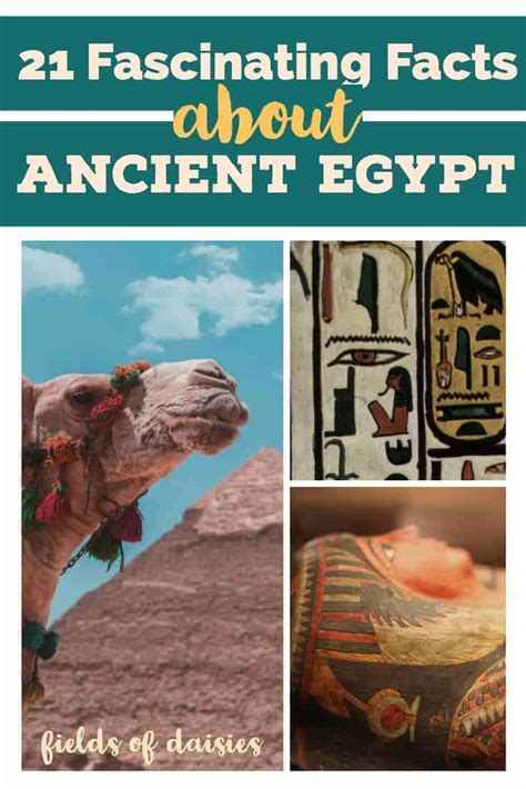 Fascinating Facts About Ancient Egypt Artofit