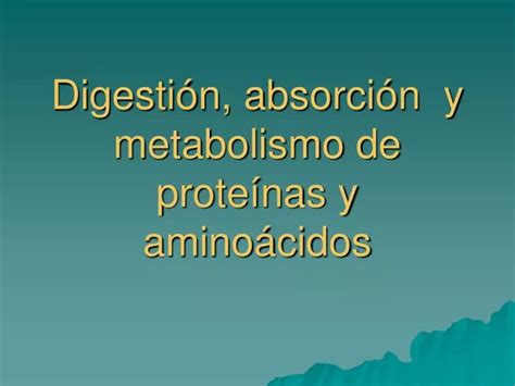 PPT Digestión absorción y metabolismo de proteínas y aminoácidos