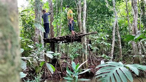 Camping Hujan Deras Di Tengah Malam Hutan Sumatra Mancing Ikan Untuk