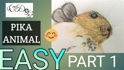 How To Draw A Pika Animal Step By Step For Beginners Easy Pika Animal