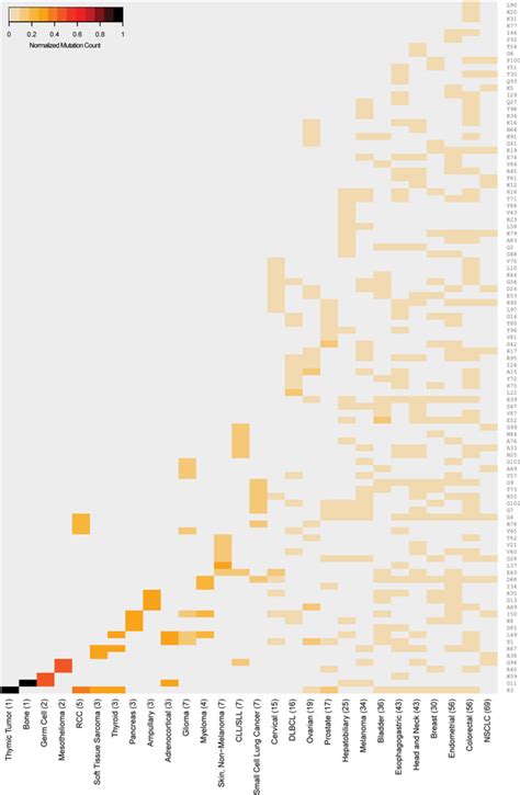 The Expanding Landscape Of Oncohistone Mutations In Human Cancers