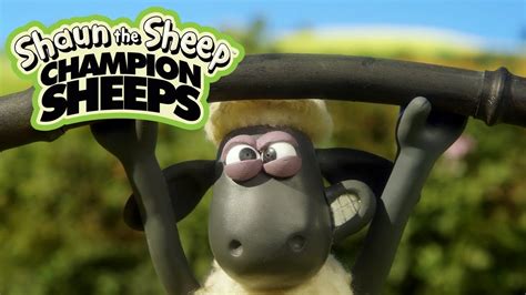 Cử tạ Championsheeps Những Chú Cừu Thông Minh Shaun the Sheep