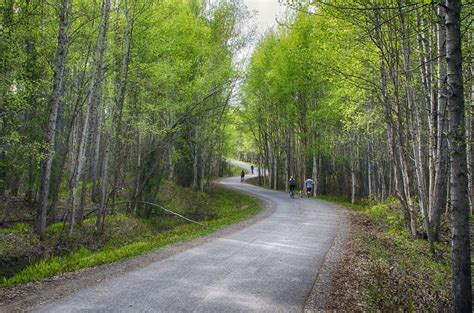 15 Best Hiking Trails in Anchorage, Alaska (Easy & Challenging Trails ...