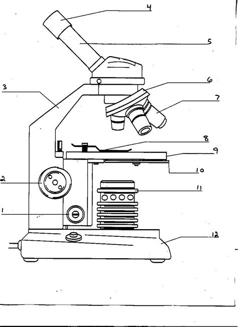 17 Best Images of Microscope Labeling Worksheet - Microscope Parts Quiz ...