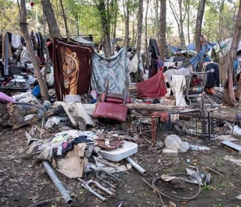 Homeless Camp Cleanup