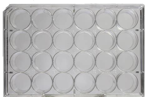 Sterile Well Cell And Tissue Culture Plates Pack Of Non Treated