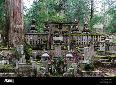 Monumentos De Piedra L Pidas Y Mausoleo En El Cementerio Okunoin