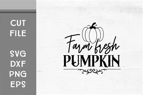 Farm Fresh Pumpkin Svg Graphic By Svgcraft Creative Fabrica