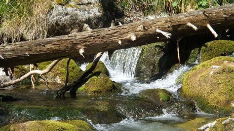 Bakgrundsbilder Tr D Vatten Natur Skog Sten Vattenfall B Ck