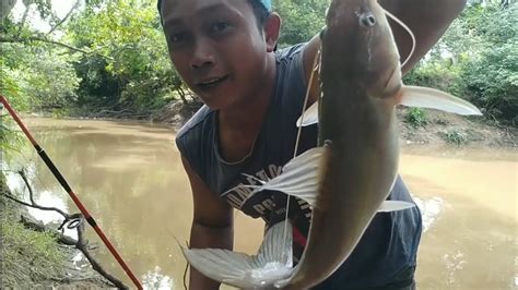 Mancing Ikan Baung Di Spot Andalan Alhamdulillah Rejeki Pasti Dapat