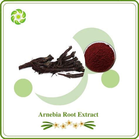 World Well Being High Quality Arnebia Root Extract Shikonin