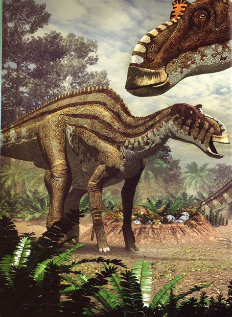 HERBIVOROUS DINOSAURS - BookXcess Online