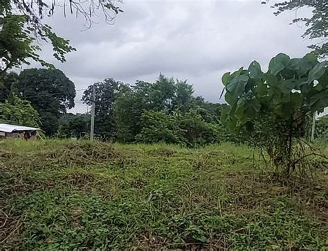 Residential Lot For Sale Cabuyao Laguna 659 Properties May 2024