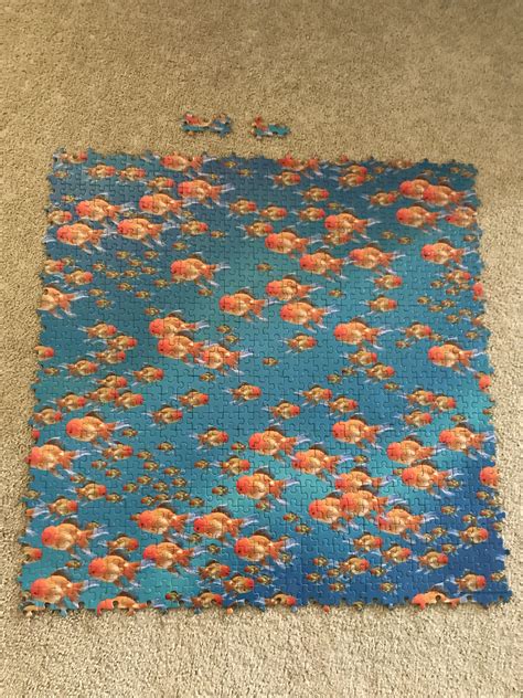 Impossibles: 750 pieces, no edges, five extra pieces, all fish. Took me ...