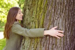 Por qué debes abrazar un árbol Revista KENA México